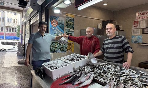 Trabzon'da İstavrit Balığına Yoğun İlgi