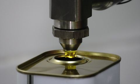 Türkiye'de Zeytin Rekoltesi Beklentisi