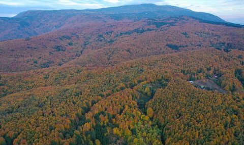 Uludağ'da Sonbaharın Güzellikleri