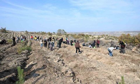 Anadolu Üniversitesi 'Yunus’un Fidanları' ile Ağaç Dikme Etkinliği Gerçekleştirdi