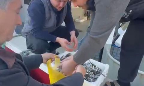 Balıkçılar, Yüksek Fiyatları Protesto Etti