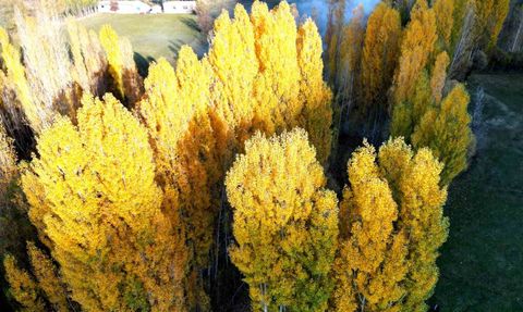 Bitlis'te Sonbaharın Renk Cümbüşü