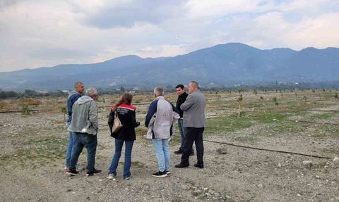 Buharkent'te İncir Fidanlarında Gelişim İncelemesi