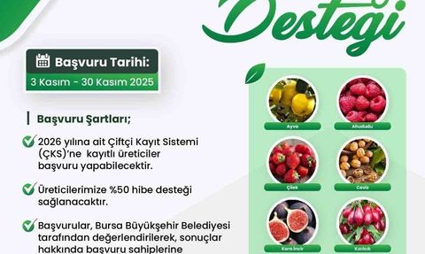 Bursa Büyükşehir Belediyesi'nden Fide ve Fidan Desteği