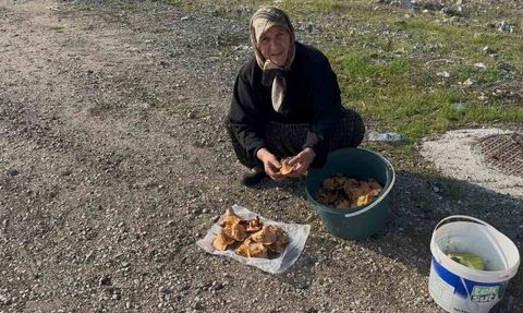 Bursa'da Yaşlı Kadınların Mantar Macerası