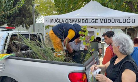 Datça'da Fidan Dağıtımı ile Yeşil Vatan Seferberliği