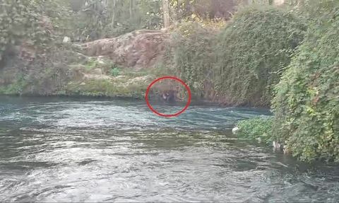 Düden Çayı'nda Yaşanan Kurtarma Operasyonu