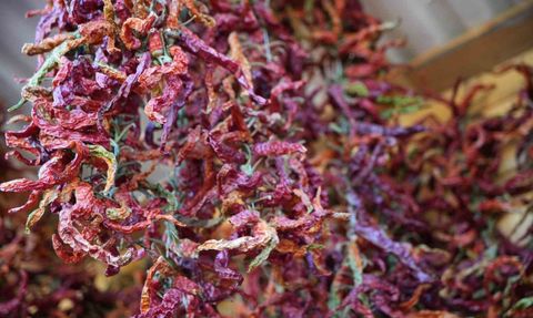 Edirne'de Ata Tohumu ile Organik Üretim Destekleniyor