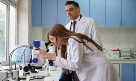 Gaziantep’te Sinek İstilasına Karşı Mücadele