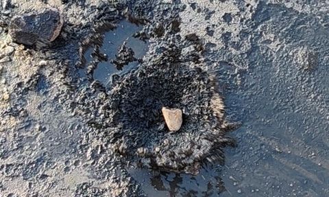 Gerede'de Çevresel Kirliliğe Karşı Hukuki Mücadele Devam Ediyor