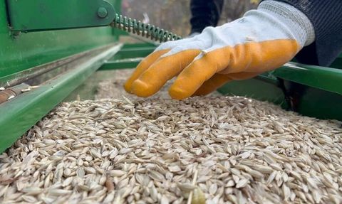 Gübre Fiyatları Raporlarda Öne Çıkıyor