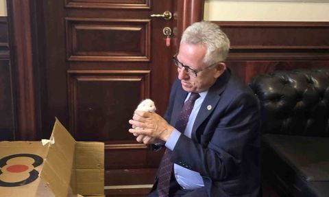 Hayvan Dostu Başkan Arslan: Evcil Köy Projesiyle Yozgat'ta Çığır Açıyor