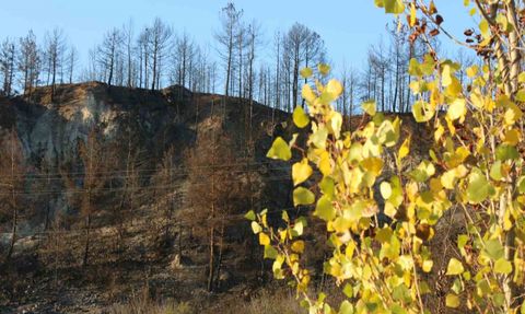 Karabük'te Sonbahar Renkleri ve Yangın Kontrastı