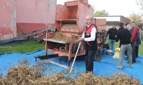 Kazak Fasulyesi Hasat Festivali Gerçekleşti