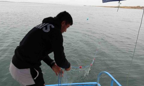 Malatya’da Balık İhracatı: Su Kenarındaki Aktivite