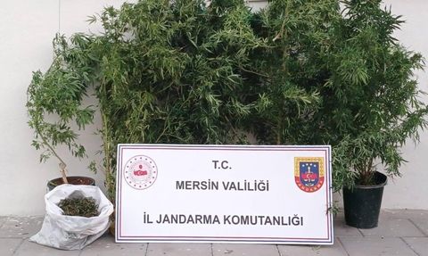 Mersin'de Uyuşturucu Operasyonu: 1 Şüpheli Yakalandı