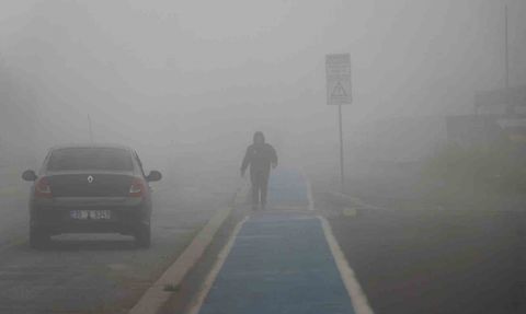 Sakarya'da Sabah Saatlerinde Yoğun Sis Etkili Oluyor