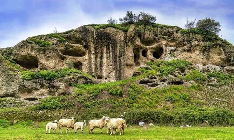 Samsun'a İlk 9 Ayda Yarım Milyon Turist Ziyareti