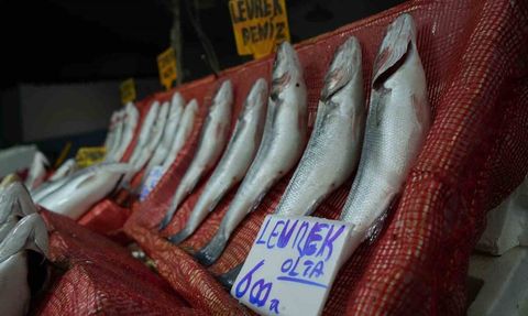 Samsun'da Balık Fiyatları Yüksek Seyrediyor