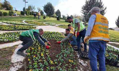 Şanlıurfa'da 400 Bin Çiçek Üretimi Başladı
