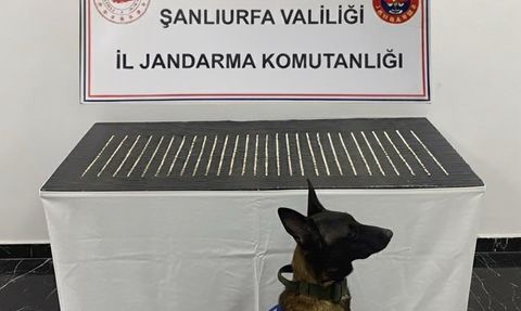 Şanlıurfa'da Uyuşturucu Operasyonu: 4 Gözaltı
