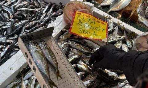 Tekirdağ'da Sürdürülebilir Balıkçılık Denetimi