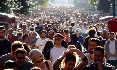 Türkiye'de İstihdam ve İşsizlik Oranları 2025 Üçüncü Çeyrek