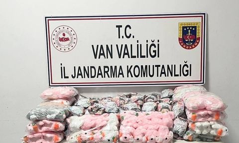 Van'da Gümrük Kaçağı Sigara ve Malzeme Operasyonu