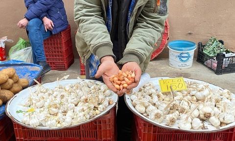 Alaşehir'de Soğan Üreticilerine Dikim Uyarısı