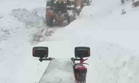 Artvin'de Çığ Faciası: 3 Çoban Tehlikede