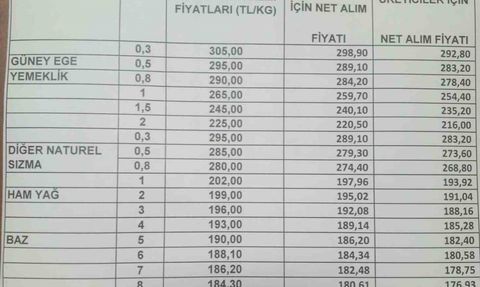 Aydın'da Zeytinyağı Fiyatlarında Artış