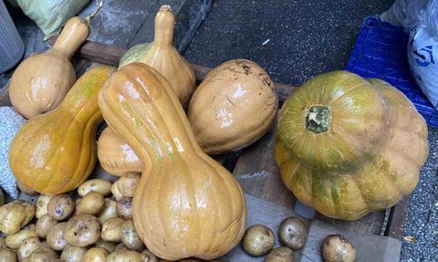 Bal Kabağı: Doğanın Şifa Kaynağı