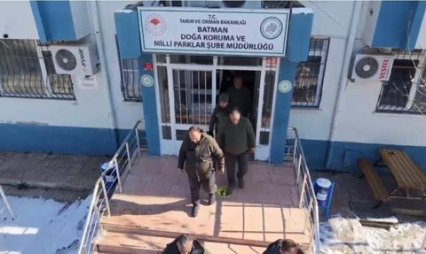 Batman’da Yaban Hayvanları İçin Yemleme Çalışması