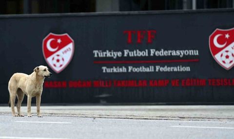 Beşiktaş Başkanı Riva'da TFF ile Görüştü