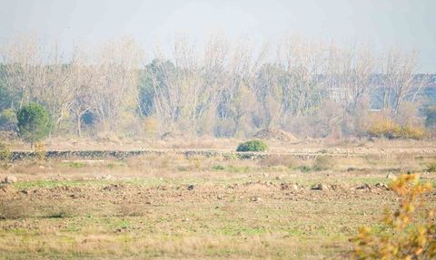 BYD'nin Manisa Yatırımı Hala Beklemede