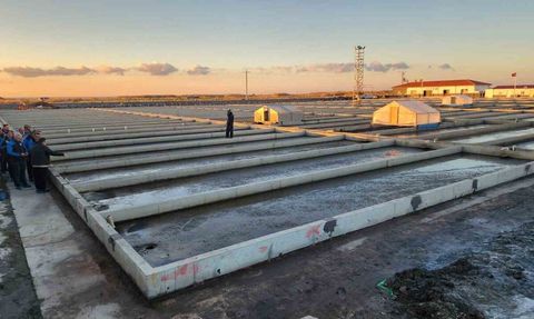 Çanakkale'de Deniz Solucanı Yetiştiriciliği: Sektörde Tek Tesis