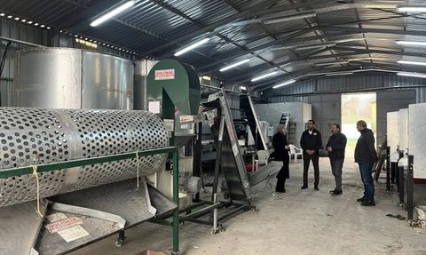 Gölpazarı'nda Ceviz Üretimi Güçleniyor