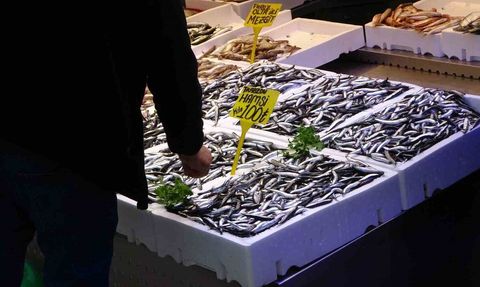 Karadeniz'de Hamsi Bereketi Devam Ediyor