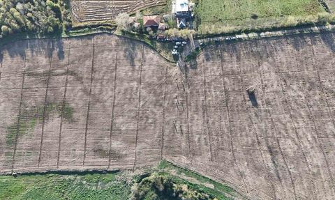 Karadeniz'in En Büyük İncir Projesi: Gelir Kız Öğrencilere Burs Olarak Aktarılacak