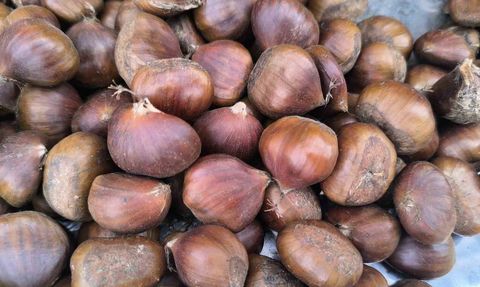 Kestane Fiyatları Yüz Güldürüyor