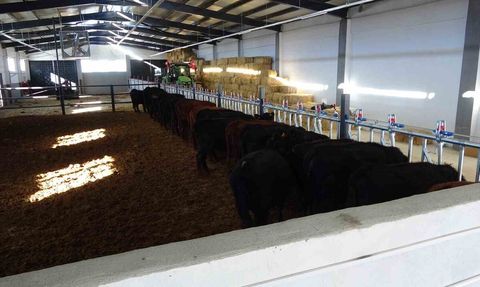 Kırsalda Bereket Hayvancılığa Destek Projesi Önümüzdeki 5 Yıl Boyunca Sürecek