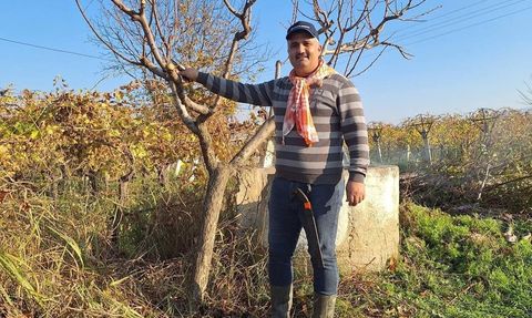 Kış Aylarında Tarım: Sarıgöl Çiftçileri Çalışmaya Devam Ediyor