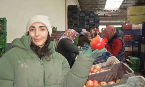 Korkuteli'nden Nar İhracatı Başladı