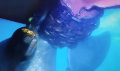 Küçükçekmece'de Alatepe Tankerinde Kurtarma Çalışmaları