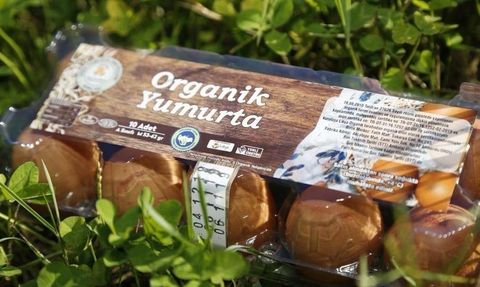 Ordu’da Yumurta Üretimi Desteklerle Güçleniyor