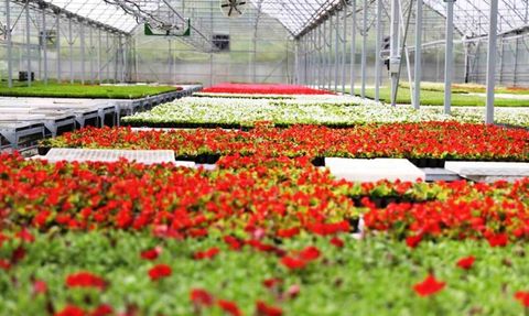 Samsun Büyükşehir Belediyesi Yenilenebilir Enerji ile Tasarruf Sağlıyor