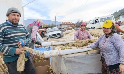 Selendi'de Tütün Hasadı Tamamlandı: Kolileme İşlemleri Başladı