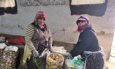 Şuhut'ta Patates Hasadı Tamamlandı, Depolama Süreci Başladı