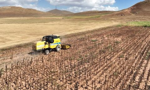 Tarımsal Girdi Fiyatlarında Yüzde 33,66 Artış