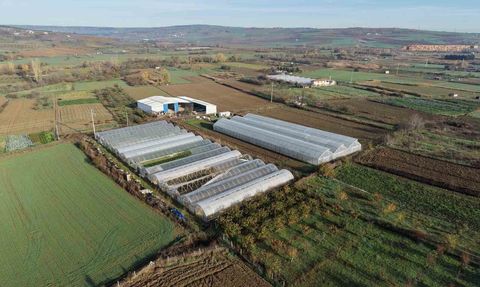 Tekirdağ'da Tarımda Yenilik: 70 Futbol Sahası Büyüklüğünde Sera Naylonu Dağıtıldı